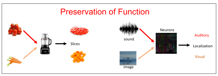 Screen Shot 2017-11-10 at 12.05.51