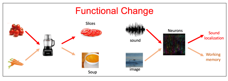 Screen Shot 2017-11-15 at 17.16.29.png